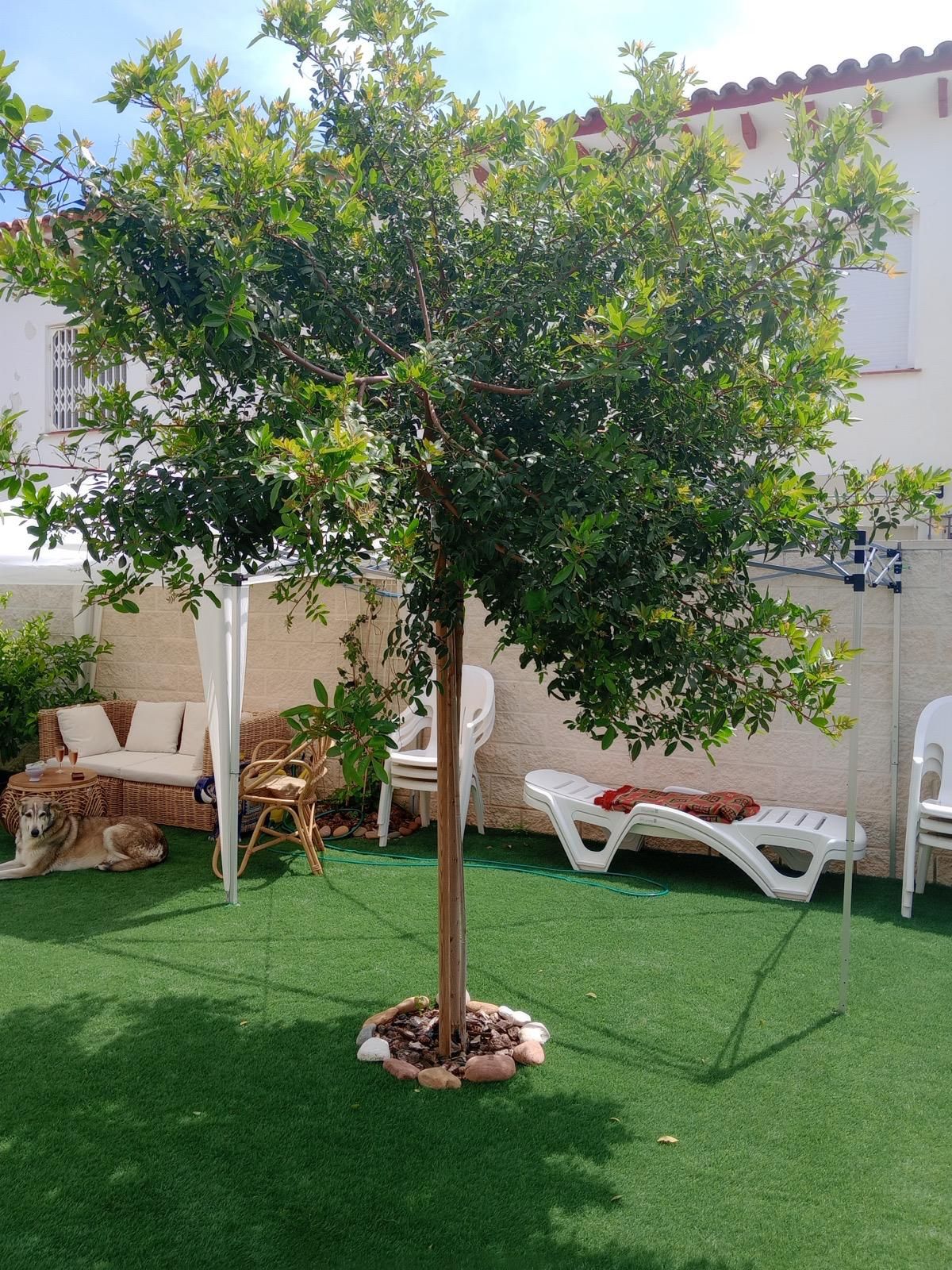 Wohnung zum Verkauf in Cambrils Mediterrani - Image 4